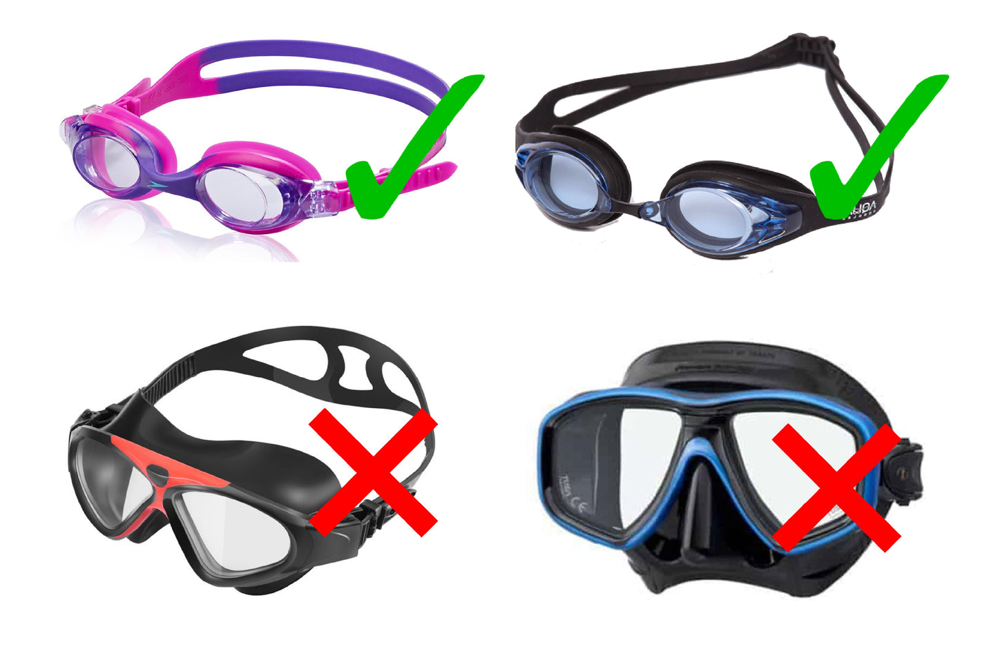 Salmon Goggle Fins
